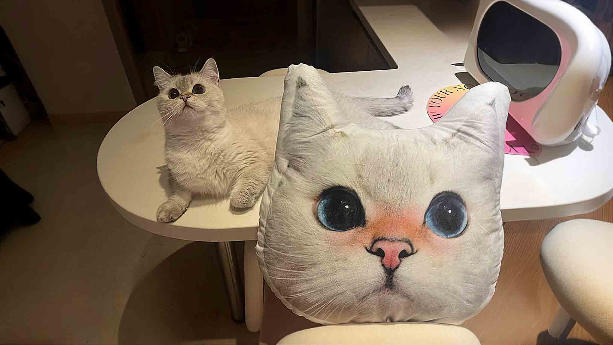 Custom Pet Pillow - Inthemart.com - Desktop Banner